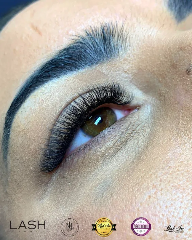 Lash extension example 12